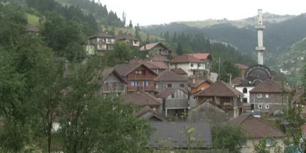 Dani maline u Jastrebcu