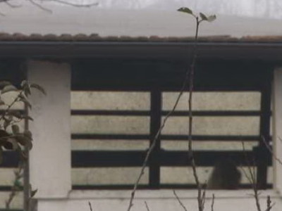 Požar na kući na Bristu