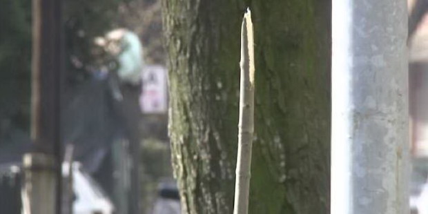 Primjeri vandalizma oko nas