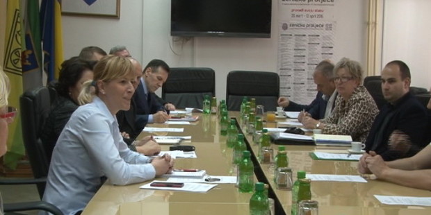 Privredni savjet Grada Zenice