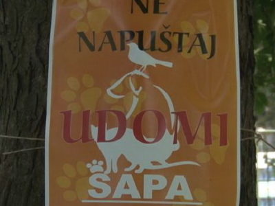 Festival udomljavanja napuštenih životinja