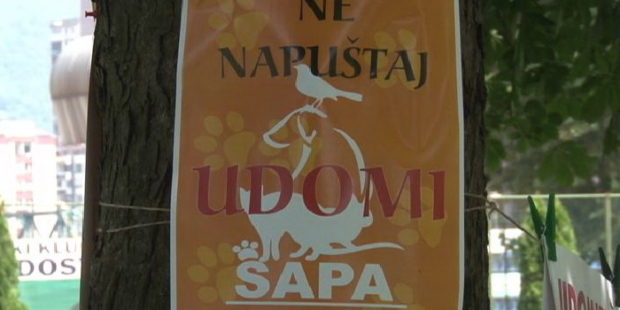 Festival udomljavanja napuštenih životinja