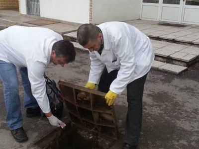 Jesenja faza sistematske preventivne deratizacije
