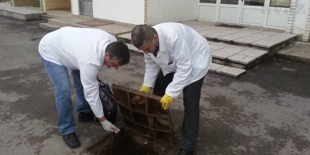 Jesenja faza sistematske preventivne deratizacije