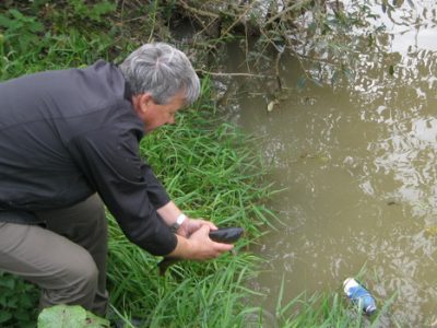 Poribljavanje rijeke Bosne