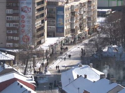 Sutra počinje uklanjanje pasa lutalica