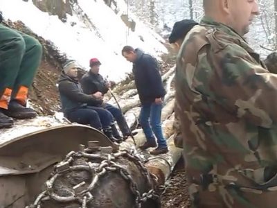 Mještani Smajića blokirali put zbog sječe šume