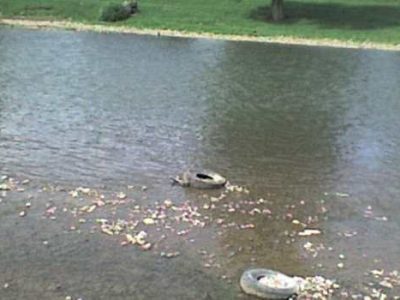 Reagovanje: kamionske gume u koritu rijeke Bosne